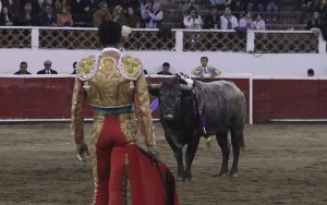 Joselito, el Rey de los toreros (IV): Juan Carlos Sámano