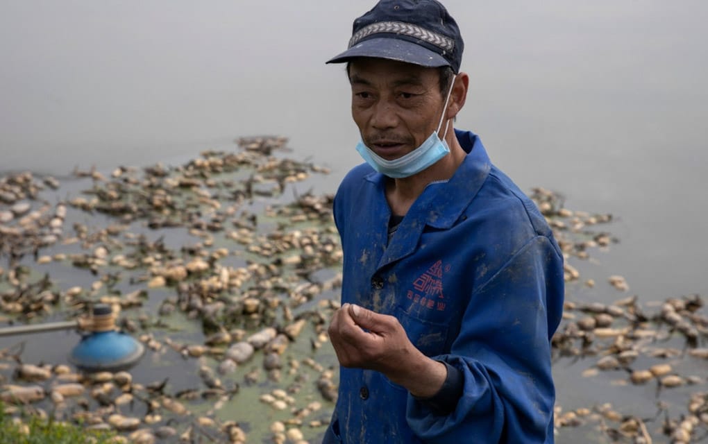 Agricultores de Wuhan pierden cosechas por la cuarentena