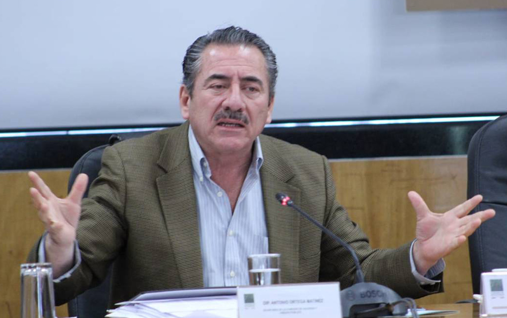 Ortega Martínez: Frenar energías traerá amparos y dinero dilapidado