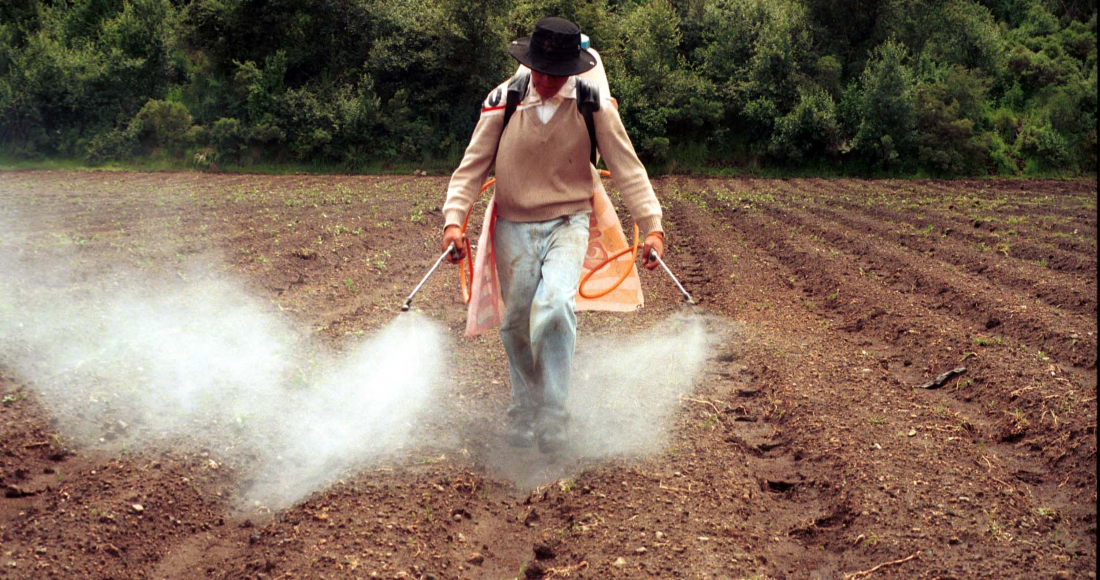 Trabajadores agrícolas se ven expuestos a químicos peligrosos cuando fumigan. CUARTOSCURO