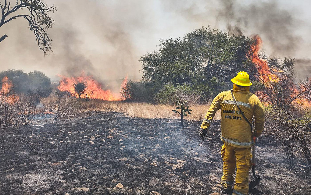 Incendio consume más de 40 hectáreas frente a Zibatá /Foto: Especial