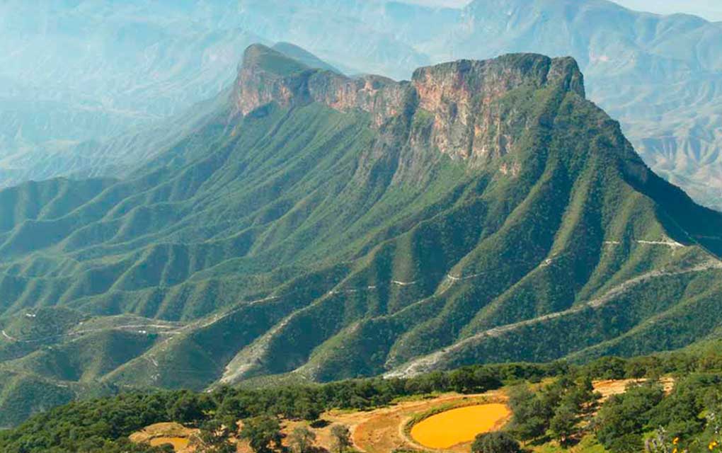 Bosques de Querétaro esenciales para la viabilidad urbana