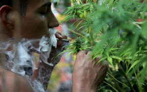Condena Tamborrel decisión respecto a uso de marihuana