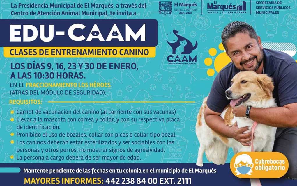 Entrenamiento canino gratuito en El Marques