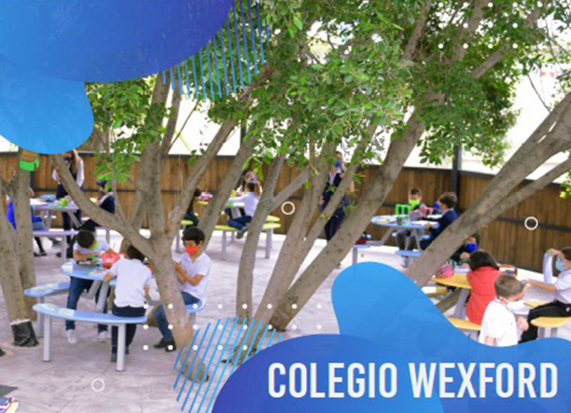 En Colegio Wexford Querétaro, la educación es la base