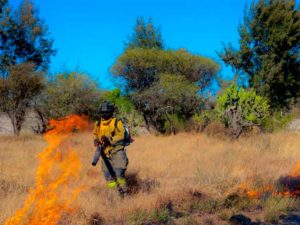 Autoridades de San Juan del Río llaman a prevenir incendios forestales