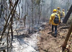 Capacitan en Querétaro en sistema contra incendios forestales
