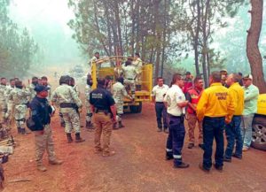 Fuera de control incendio forestal en Michoacán