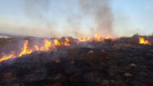Van 64 incendios en Querétaro en lo que va de 2022