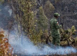 Incendios forestales atacan el país