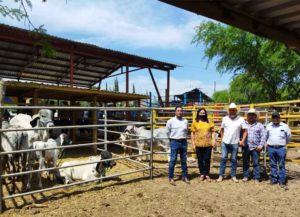 Realizan la primera edición del Tianguis Agropecuario en Arroyo Seco