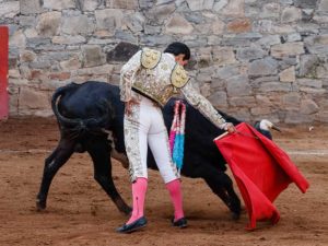 Suspenden corridas de Toros en la Plaza México