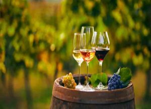 Los 10 mejores viñedos de Querétaro