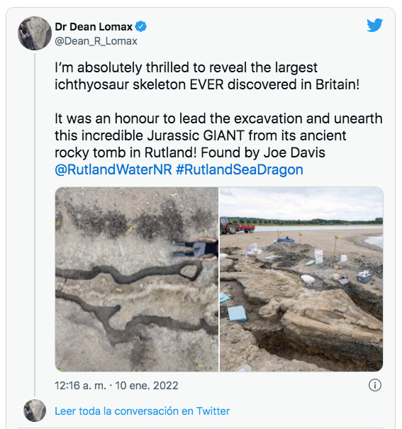 Encuentran fósil gigante de dragón 