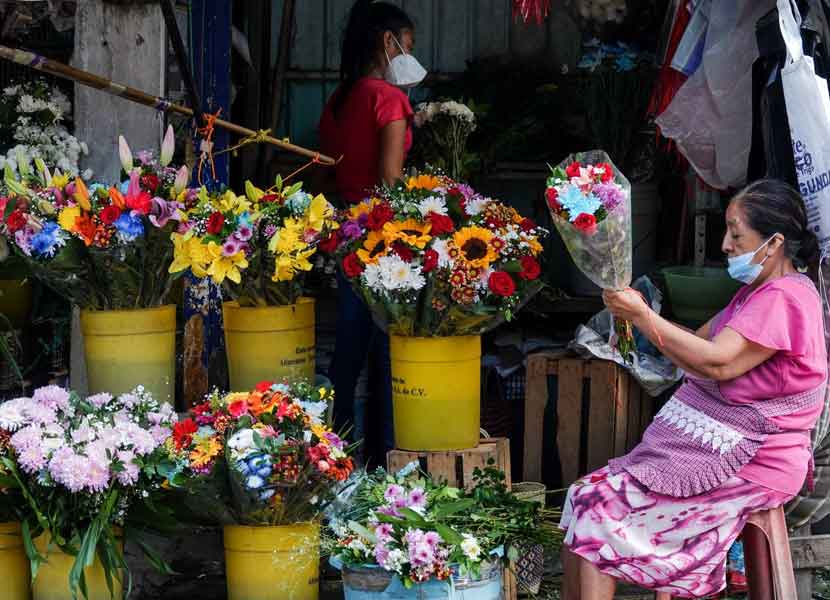 Garantizado el abasto nacional de flores para el Día de las Madres