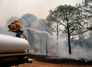 Hay 81 incendios forestales activos en México: Conafor