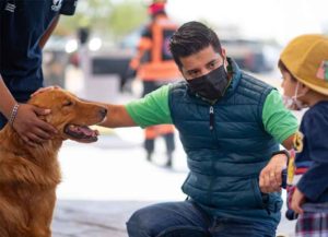 Municipio de El Marqués realiza con éxito Jornada de Bienestar Animal