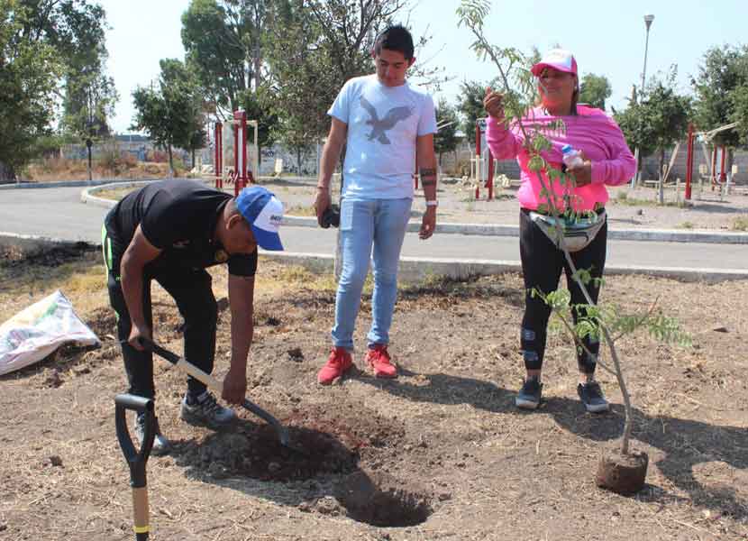 Municipio de El Marqués realiza la Primera Ola de Reforestación
