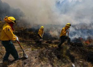 Incendios forestales afectan 449.96 hectáreas en Querétaro