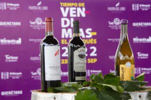 Vendimias de viñedos en El Marqués esperan más de mil 700 visitantes