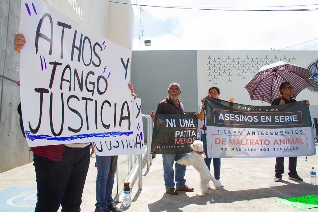 Querétaro: Declaran culpable a asesino de Athos y Tango