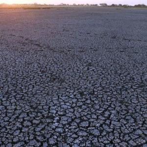 Sequía, en gran parte de municipios queretanos/ Foto: Cuartoscuro