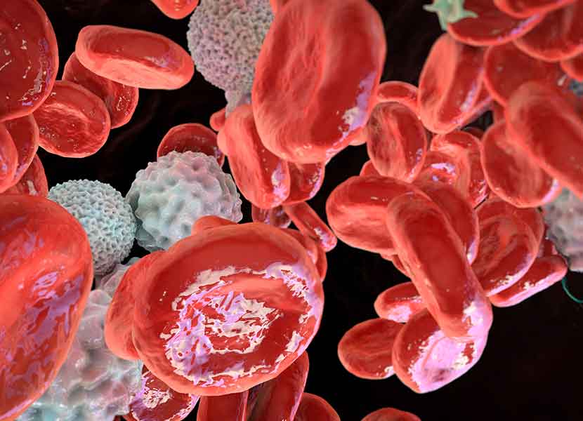Urge la prevención de cánceres hematológicos en México