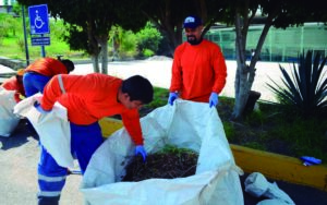 Recibirá la UAQ apoyo del municipio para labores de limpieza