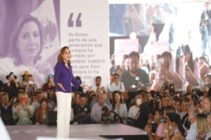 A finales de este año, Lupita Murguía definirá futuro político