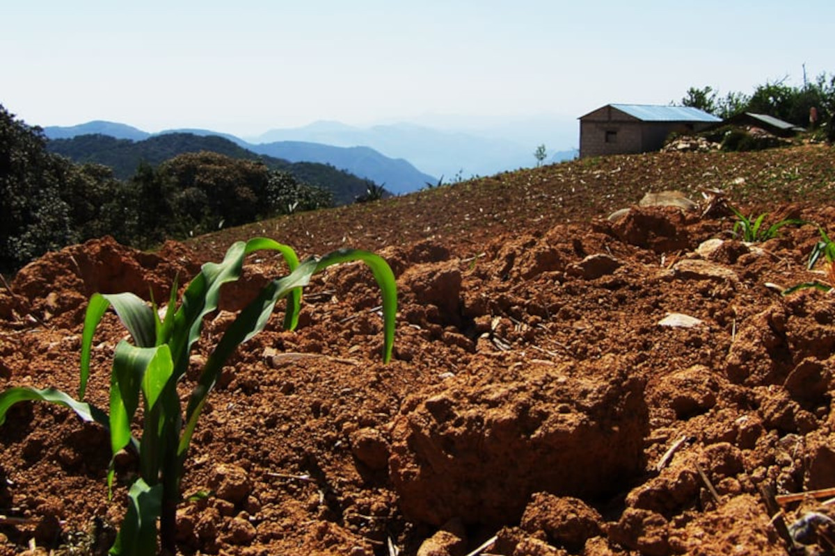 Emiten programas emergentes para combatir la sequía en Querétaro/ Foto: Juan Carlos Machorro