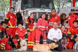 Cruz Roja abrirá escuela para entrenar a perros rescatistas