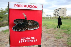 En México existe la mayor variedad de serpientes venenosas que en cualquier otro país de América: aproximadamente 580 especies y subespecies de serpientes, de las cuales 21 % posee venenos capaces de ocasionar daños severos al hombre.