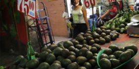Kilo de aguacate se vende hasta en 140 pesos: Profeco