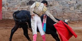 Suspenden corridas de Toros en la Plaza México