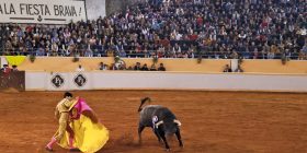 Congreso del estado definirá si tauromaquia continúa como patrimonio cultural en Querétaro